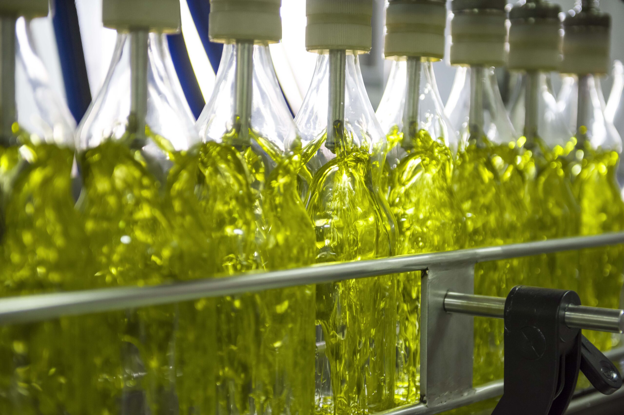 embotellado de aceite de oliva virgen Extra en la almazara de hacienda vadolivo
