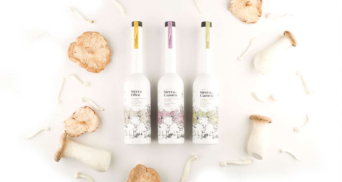 Aceite ecológico AOVE Hacienda Vadolivo® Tres son los principios que ha mantenido desde sus inicios Hacienda Vadolivo®: aplicar los mejores cuidados al fruto y al árbol, elaborar solamente aceites de oliva de calidad y todo ello implantando prácticas respetuosas con el medio ambiente.