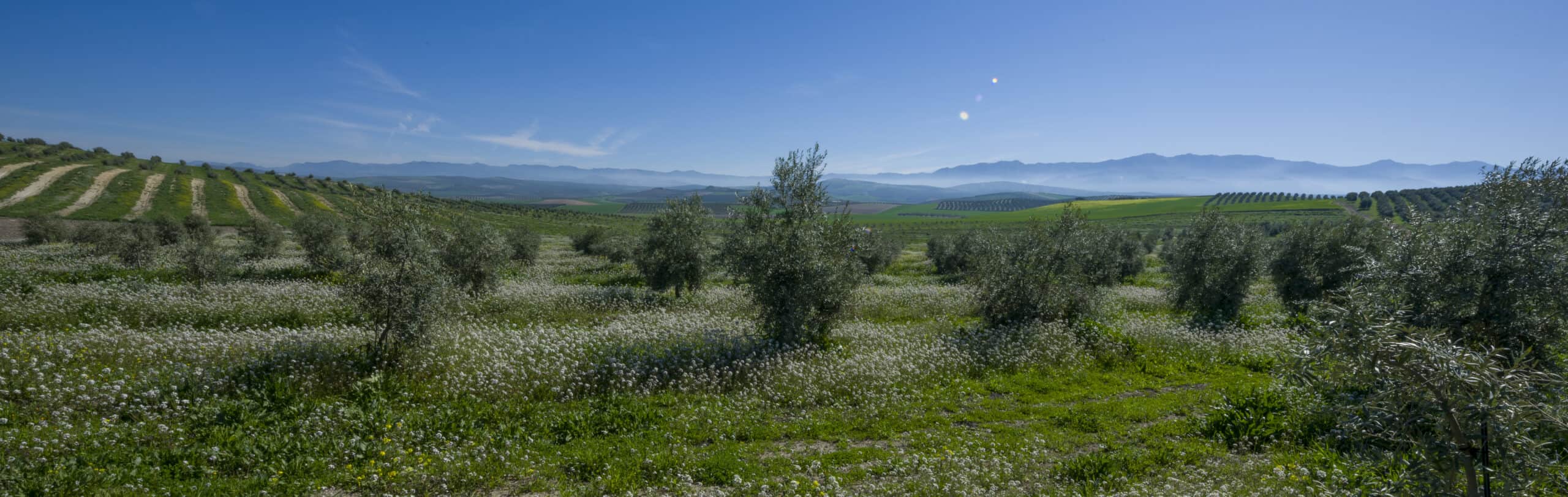 Hacienda Vadolivo© Baltasar López Cuadra