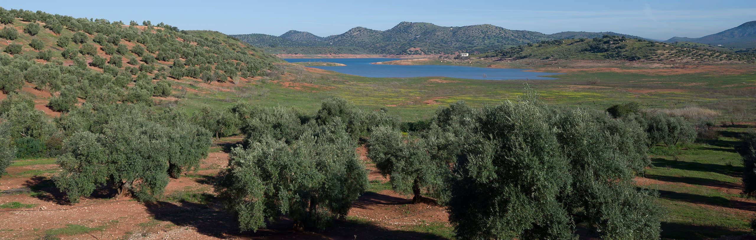 vista aérea de nuestra hacienda AOVE Vadolivo Sierra de Cazorla